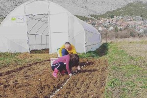 Iako početnici u proizvodnji, rasprodali sve količine povrća i planiraju novu sezonu
