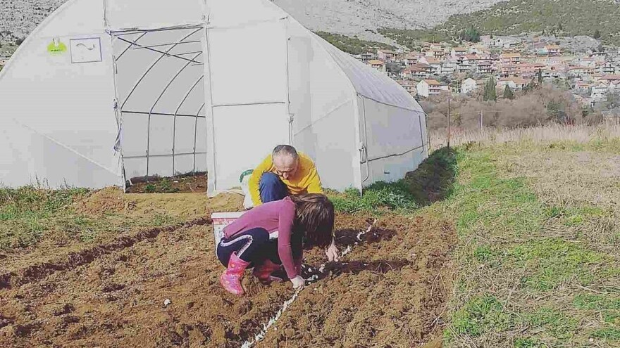 Iako početnici u proizvodnji, rasprodali sve količine povrća i planiraju novu sezonu