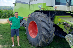Dubravko Božac: Poplava je zaobišla pšenicu, prinosi oko 7 t/ha