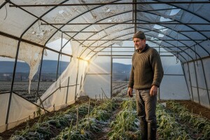 Dubrovačko-neretvanska županija pomoći će poljoprivrednicima