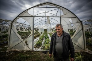 Dubrovačko-neretvanska županija sufinancira premije osiguranja u poljoprivredi