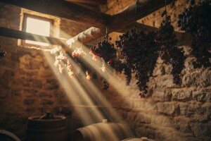 Dubrovačko-neretvanski vinari: Ministre Jakovina, samo je jedan prošek!