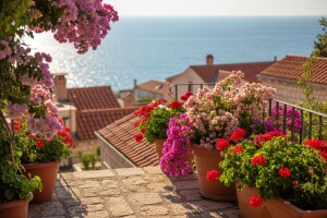 Dubrovnik: najljepši vrtovi