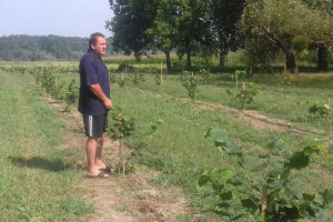 Od iznajmljenih oranica do ekološke proizvodnje oraha