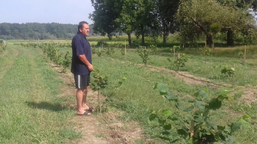 Od iznajmljenih oranica do ekološke proizvodnje oraha