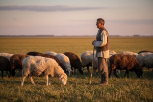 Dug put od cigaje do virtemberga