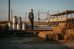 Duhan i mlijeko najveći gubitnici ulaska u Uniju