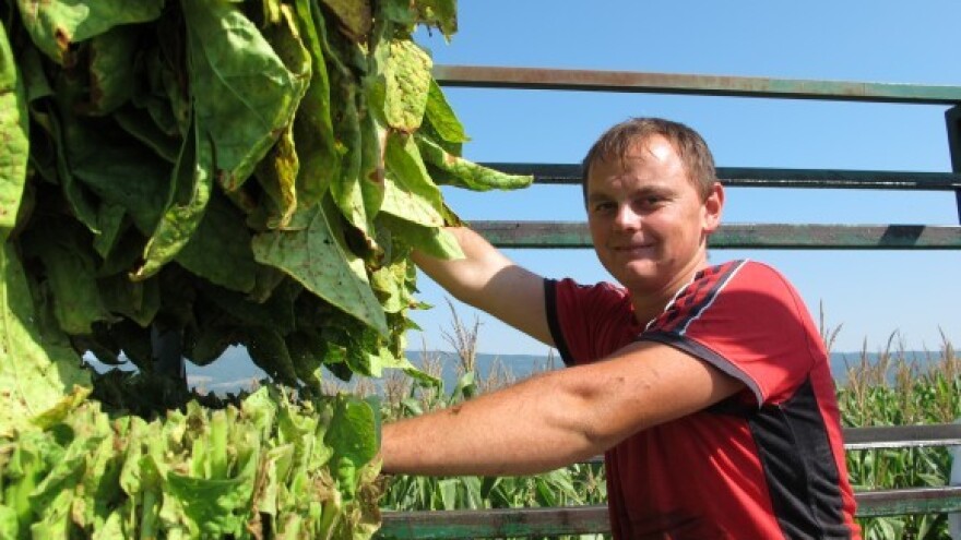 Natječaj za ugradnju solarnih sušnica za duhan