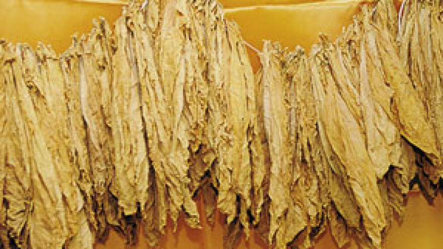 Proizvođači duhana u teškom položaju