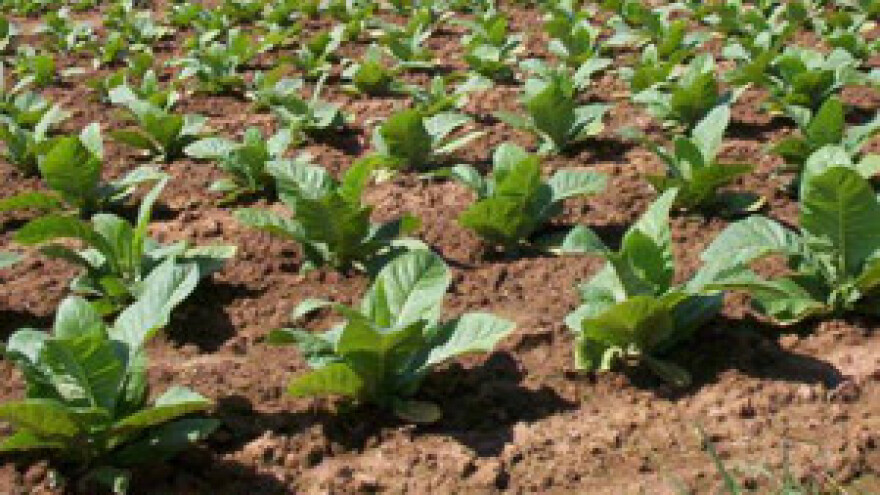 Proizvođači duhana će prosvjedovati