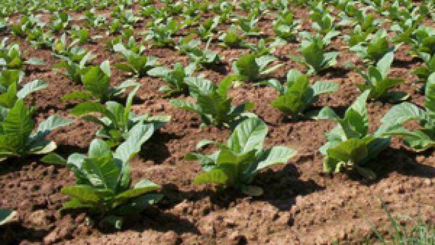 Duhanci Čobankoviću vraćaju vaučere
