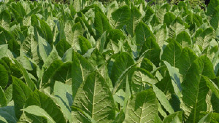 Hrvatski duhani kooperantima ponudili povoljnije uvjete