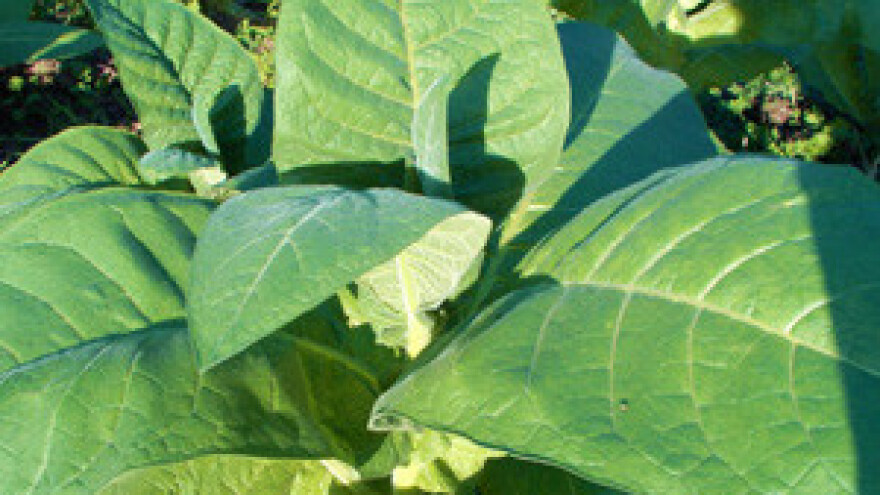 Udružili se kooperanti Agroduhana