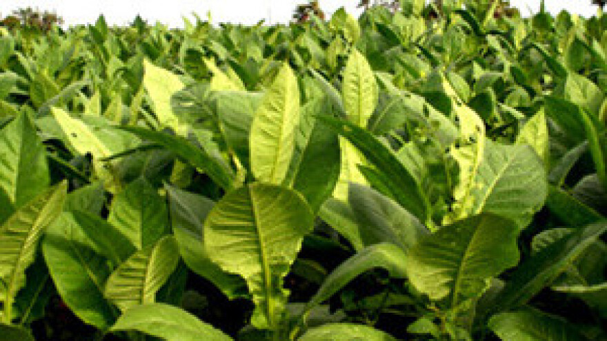 Uspjeli su samo ustrajni