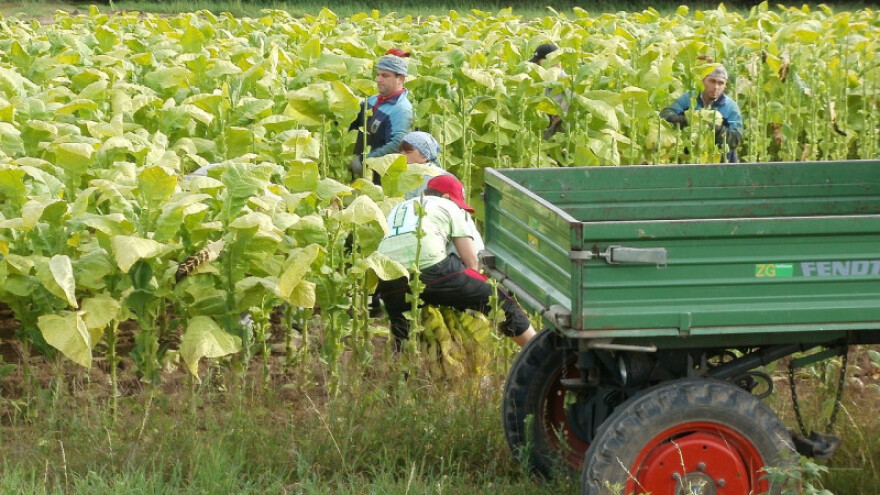 Željko Aragović: Proizvođači duhana u RH su diskriminirani