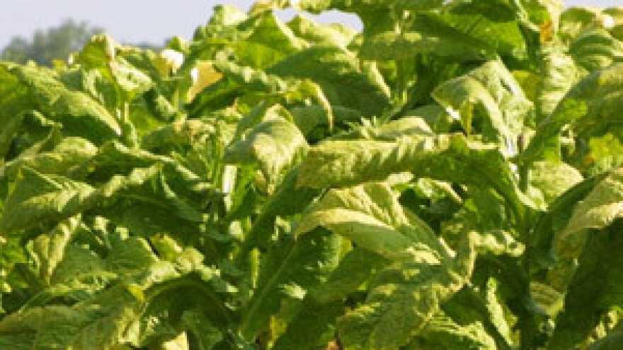 Hrvatski duhani se odriču dobiti u korist seljaka