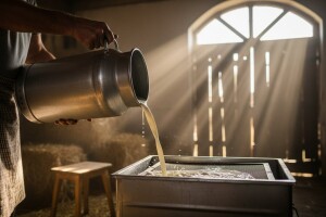 Dukat nastavlja s otkupom mlijeka