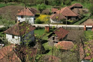 Dulene - kragujevački Zlatibor