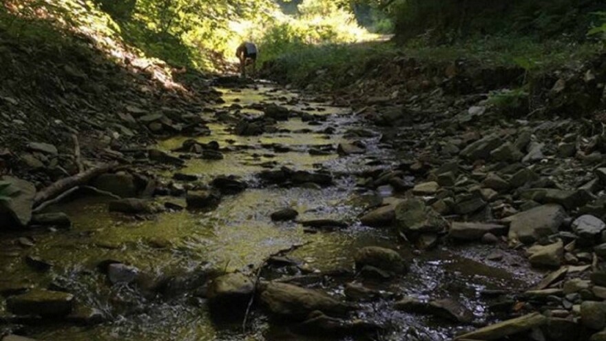 Zeleni fond: Za Srbiju opredeljeno 300.000 dolara