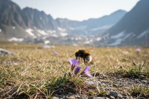 Dulja sezona cvjetanja loša za pčele?
