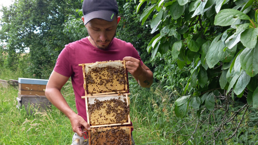 Zabluda o pčelarstvu je puno, a najčešća je da je košnica leteći bankomat