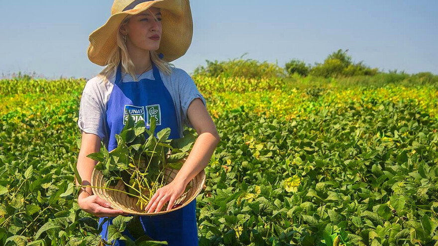 Udruženje "Dunav Soja": Naš region ima izuzetan potencijal za proizvodnju soje