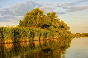Osniva se Korisnički servis za sušu