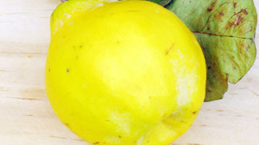 Dunjovača postaje lički brand