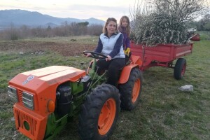 Lana (7): Sve što nije vezano za seosku trpezu, neka mi ne donose na stol!
