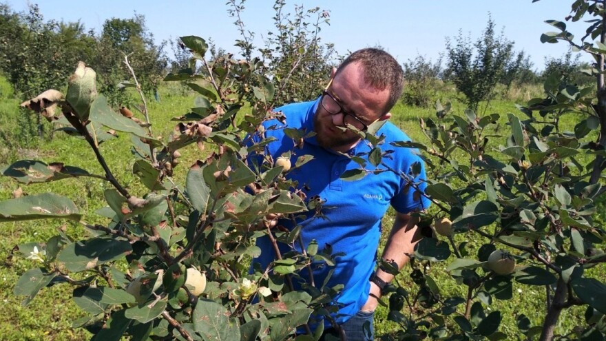 Dunju štite bakterije - ekološki i pouzdano