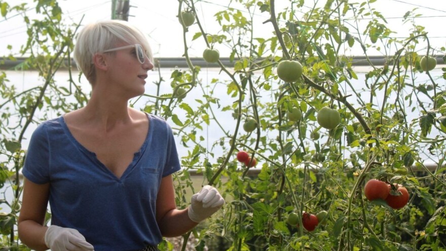 Dunja Pejić: Salatica jeste obustavila proizvodnju, ali vjerujem da je podstakla mnoge da razmišljaju o pravim vrijednostima