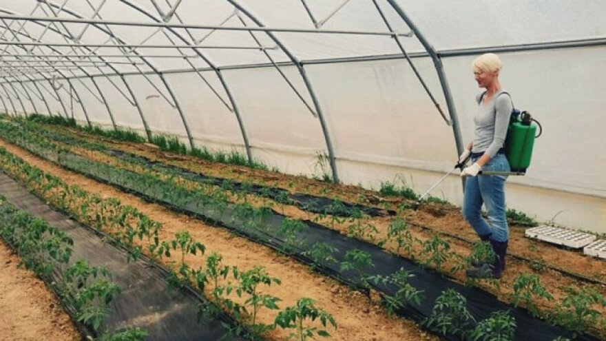 Staro seosko imanje pretvorila u povrtni eko raj