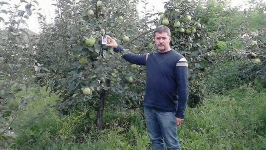 Kako se dunja čuva od zaborava?