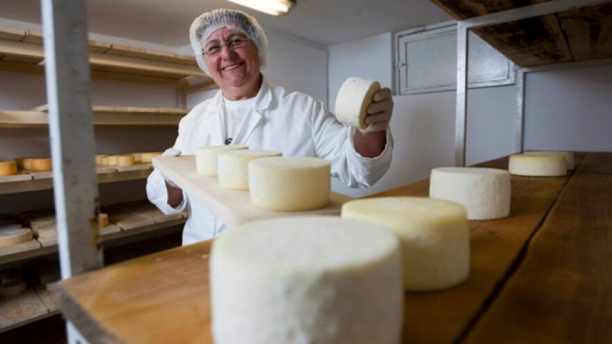 Hektari ih koče u razvoju ponude sireva