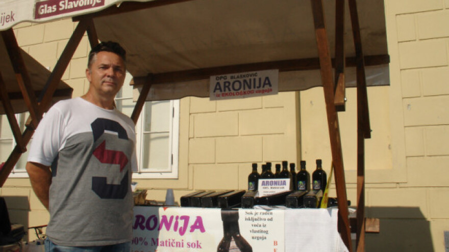 Aronija grabi na šire tržište hektar po hektar