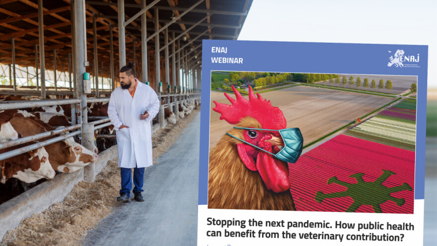 Što humana medicina može naučiti od veterine? Mogu li se zoonoze iskorijeniti?