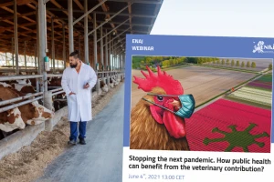 Šta humana medicina može da nauči od veterine? Mogu li zoonoze da se iskorene?