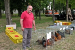 Uzgoj koka hrvatica stavljen na kušnju!