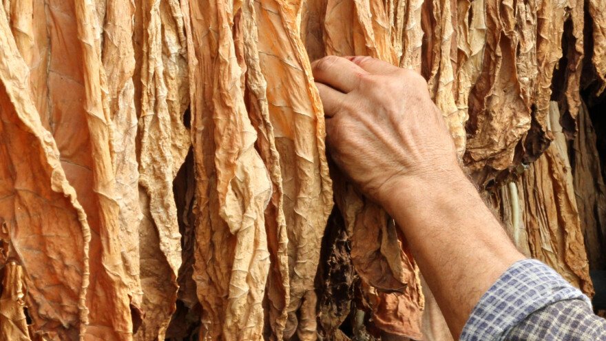 Policija kod šezdesetogodišnjaka pronašla preko 2.000 kg duvana u listu