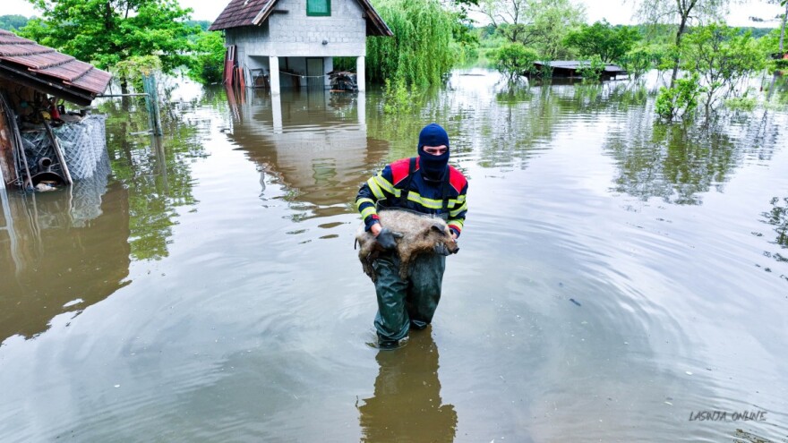 I praščić je spašen iz poplave - njegov heroj je vatrogasac Antonio Marušić