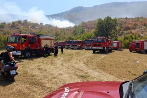Pred nama je još jedan toplinski val, a indeks opasnosti od šumskog požara vrlo visok