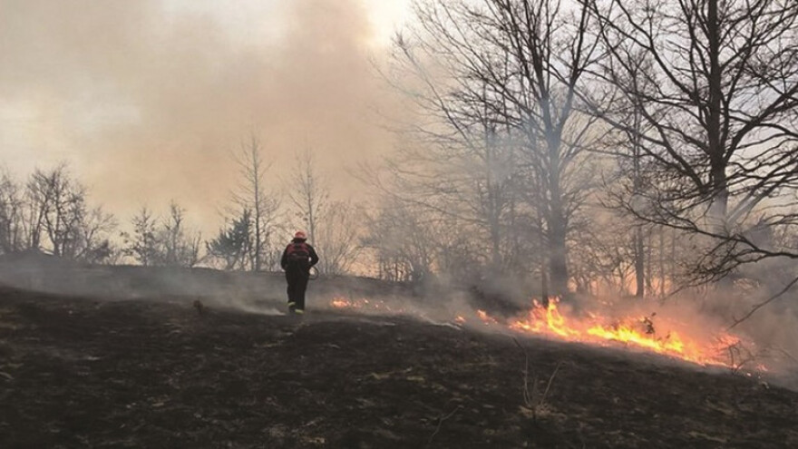 Biljni otpad je sigurnije kompostirati