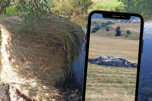 Dvije bale sijena zapaljene, tri bačene u rijeku, vlasnik nudi 5.000 KM za informacije