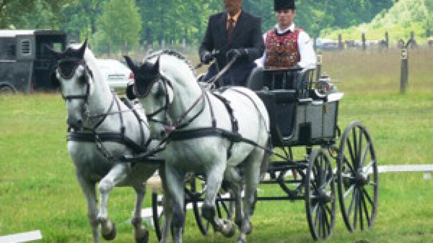 Prvenstvo Hrvatske u vožnji dvoprega