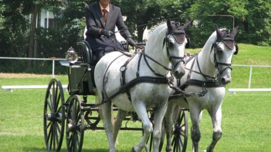 Održano prvenstvo Hrvatske u vožnji dvoprega