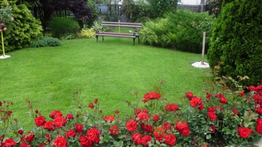 Selo najlepših dvorišta