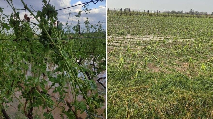 Štete od tuče: Suverenisti od ministra traže hitnu uspostavu protugradne obrane