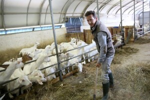 Projekti ruralnog poduzetništva - ideje za razvoj!