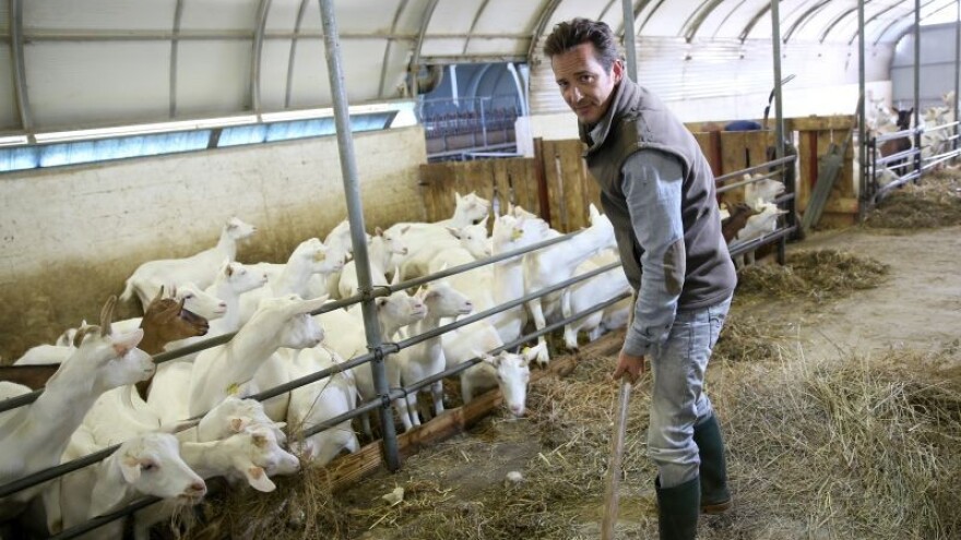 Projekti ruralnog poduzetništva - ideje za razvoj!