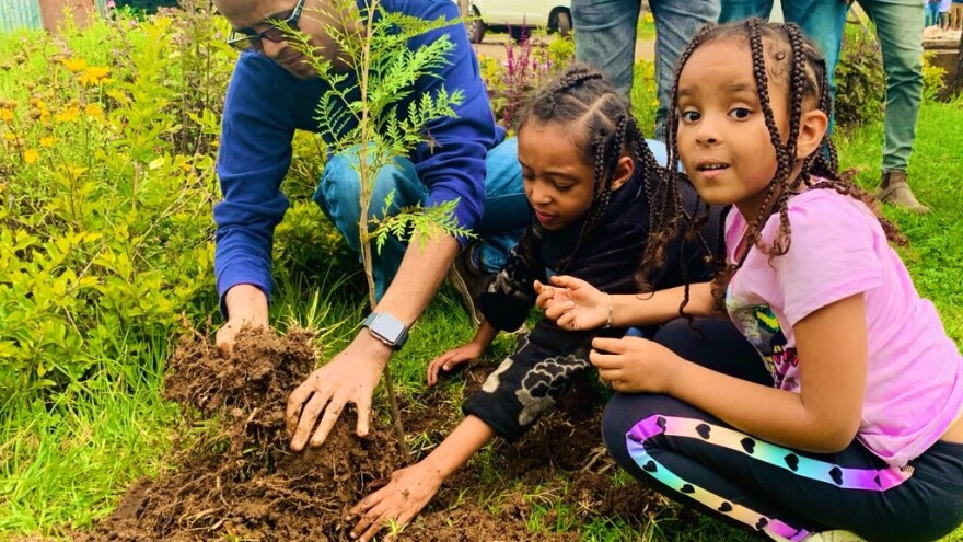 Posadili više od 353 miliona stabala u jednom danu i srušili svjetski rekord